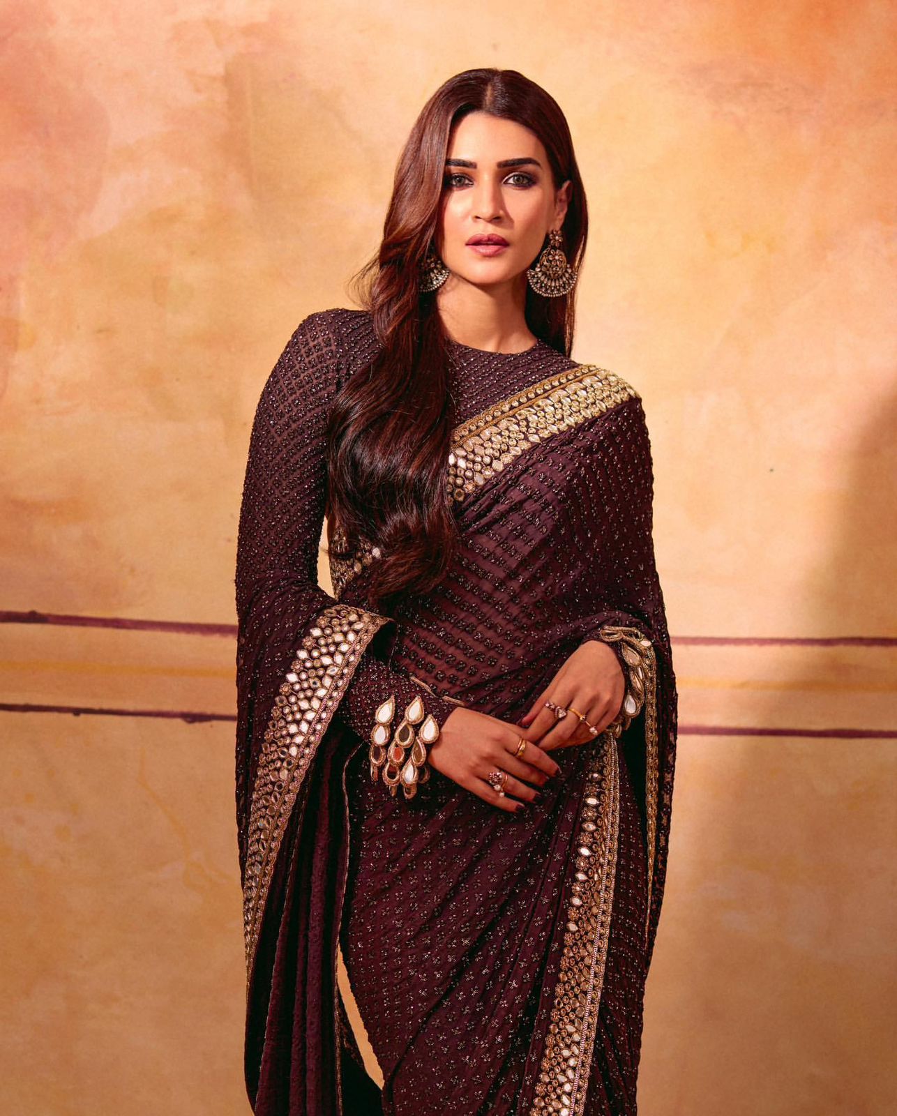 Chocolate Brown embroidered saree