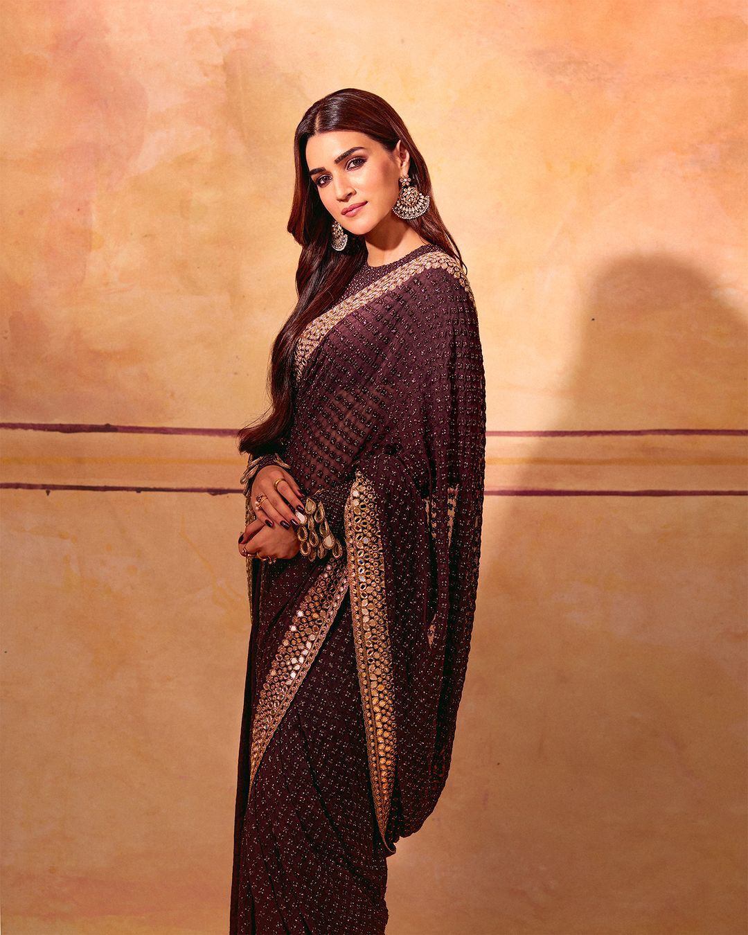 Chocolate Brown embroidered saree