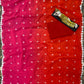 Gurleen Gambhir Red-Pink Bandhej Saree