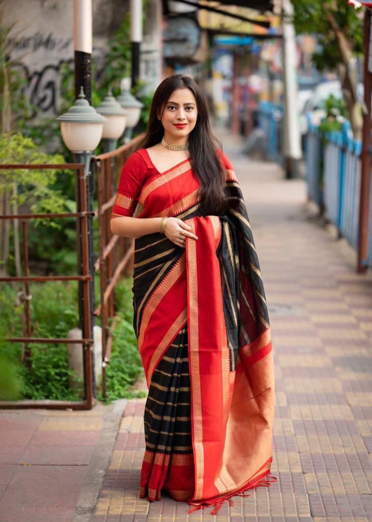 Black With Red Border Silk Traditional Saree – paanericlothing