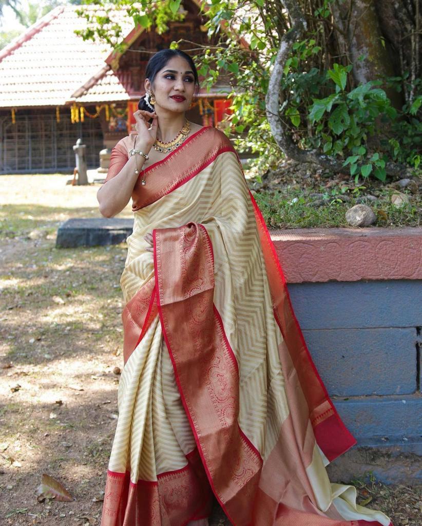 Maroon Banarasi Georgette Saree with Contrast Stitched Blouse – Seasons  Chennai