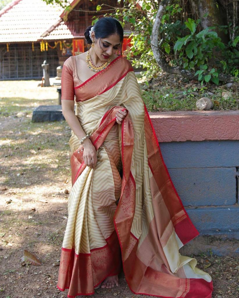 Classic Red Banarasi Sarees for Weddings – WeaverStory