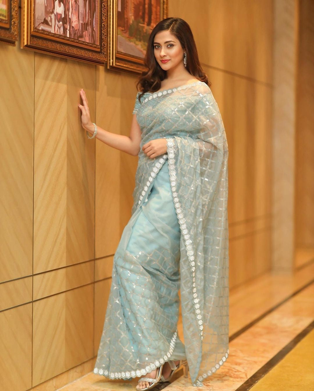 Deigner  Sequance  Embroidered Work  Saree